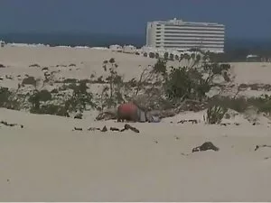 Ruiva vídeo pornô em ...