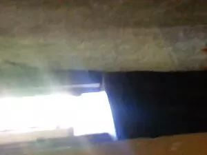 Foda-se pornodoido e ...